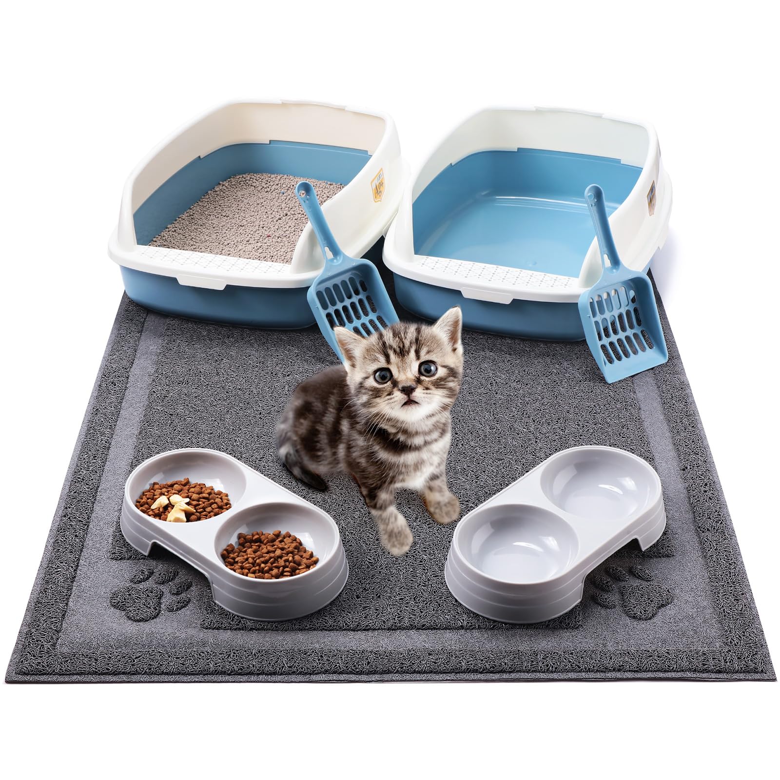 Kitten bij een kattenbak met accessoires