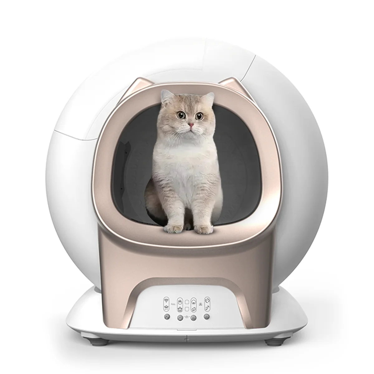 Zelfreinigende kattenbak met kat erin