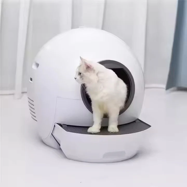 Kat in automatische kattenbak