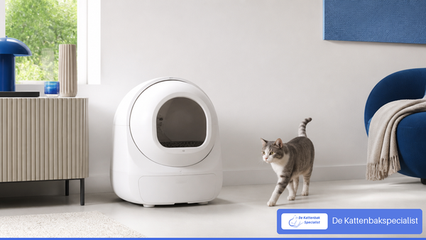 Witte automatische kattenbak zonder app in een rustige woonkamer