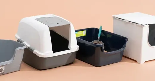 De beste tips voor het kiezen van een mooie design kattenbak
